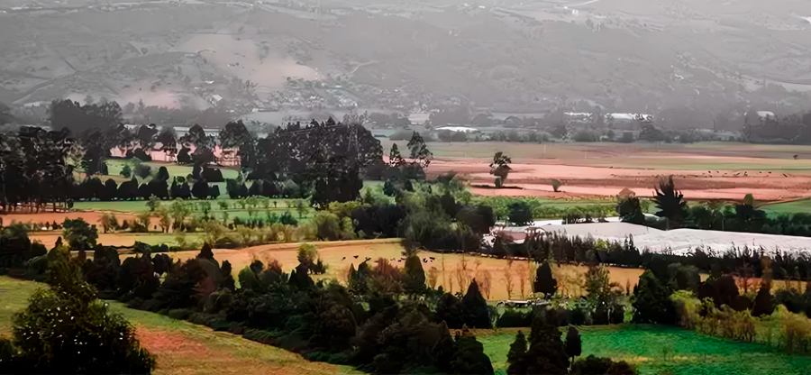 El Internet Satelital está Conectando al Campo Colombiano
