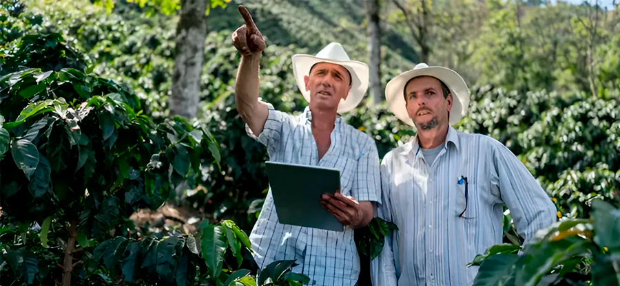 Internet Satelital una realidad en el campo